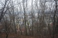 Файл=img_7860.jpg
Объём=367КБ
Размеры=700x465
Дата=Янв 10, 2007 img_7860.jpg