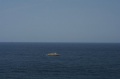 Файл=img_8660.jpg
Объём=27КБ
Размеры=700x465
Дата=Сент 19, 2007 img_8660.jpg