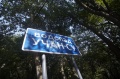 Файл=img_8856.jpg
Объём=117КБ
Размеры=700x465
Дата=Сент 19, 2007 img_8856.jpg