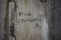 Файл=img_7625.jpg
Объём=55КБ
Размеры=700x465
Дата=Май 14, 2007 img_7625.jpg