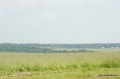 Файл=IMG_7974.jpg
Объём=1074КБ
Размеры=1600x1063
Дата=Июнь 13, 2010 IMG_7974.jpg