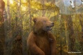 Файл=img_9559.jpg
Объём=1228КБ
Размеры=1600x1065
Дата=Май 09, 2011 img_9559.jpg