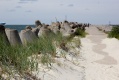 IMG_6473.jpg