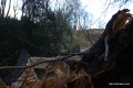 Файл=IMG_6973.jpg
Объём=288КБ
Размеры=1200x800
Дата=Апр 25, 2010 IMG_6973.jpg