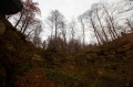 img_7127.jpg
