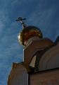 Файл=img_7724.jpg
Объём=136КБ
Размеры=495x700
Дата=Июнь 29, 2007 img_7724.jpg