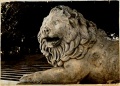 Файл=lion_1.jpg
Объём=257КБ
Размеры=650x469
Дата=Окт 31, 2006 lion_1.jpg