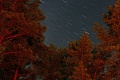 Файл=nightsky_1.jpg
Объём=117КБ
Размеры=600x400
Дата=Авг 21, 2006 nightsky_1.jpg