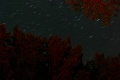 Файл=nightsky_2.jpg
Объём=69КБ
Размеры=600x400
Дата=Авг 21, 2006 nightsky_2.jpg