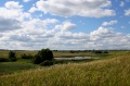 Файл=peizazg.jpg
Объём=175КБ
Размеры=650x433
Дата=Июль 27, 2007 peizazg.jpg