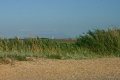 Файл=trosnik_and_mountains.jpg
Объём=65КБ
Размеры=600x400
Дата=Окт 04, 2006 trosnik_and_mountains.jpg
