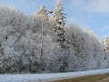 Файл=CIMG3843.jpg
Объём=176КБ
Размеры=800x600
Дата=Янв 09, 2009 CIMG3843.jpg