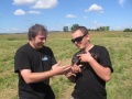 Файл=img_1902.jpg
Объём=133КБ
Размеры=640x480
Дата=Сент 17, 2007 img_1902.jpg