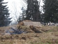 Файл=img_19960.jpg
Объём=184КБ
Размеры=1000x750
Дата=Апр 18, 2007 img_19960.jpg