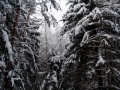Файл=p2.jpg
Объём=357КБ
Размеры=700x525
Дата=Фев 26, 2006 p2.jpg