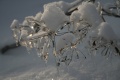 Файл=IMG_1106.JPG
Объём=124КБ
Размеры=768x512
Дата=Янв 11, 2011 IMG_1106.JPG