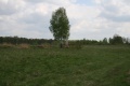 Файл=IMG_5014.JPG
Объём=155КБ
Размеры=768x512
Дата=Май 12, 2008 IMG_5014.JPG