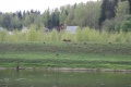Файл=IMG_6271.JPG
Объём=218КБ
Размеры=768x512
Дата=Июнь 15, 2009 IMG_6271.JPG