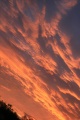 Файл=img_2100.jpg
Объём=158КБ
Размеры=512x768
Дата=Май 14, 2007 img_2100.jpg