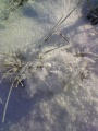 Файл=photo-00200.jpg
Объём=69КБ
Размеры=600x800
Дата=Янв 09, 2008 photo-00200.jpg