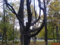 Файл=dsc01515.jpg
Объём=129КБ
Размеры=640x480
Дата=Окт 04, 2006 dsc01515.jpg