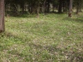 Файл=img_0069.jpg
Объём=1806КБ
Размеры=2560x1920
Дата=Май 10, 2007 img_0069.jpg