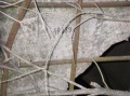 Файл=imgp0360.jpg
Объём=326КБ
Размеры=591x443
Дата=Май 07, 2007 imgp0360.jpg