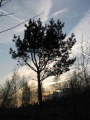 Файл=img_1601.jpg
Объём=32КБ
Размеры=336x448
Дата=Фев 21, 2008 img_1601.jpg