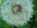 Файл=DSCN2615.jpg
Объём=93КБ
Размеры=1024x768
Дата=Май 31, 2010 DSCN2615.jpg