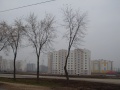 Файл=dsc06546.jpg
Объём=811КБ
Размеры=1600x1200
Дата=Окт 31, 2011 dsc06546.jpg